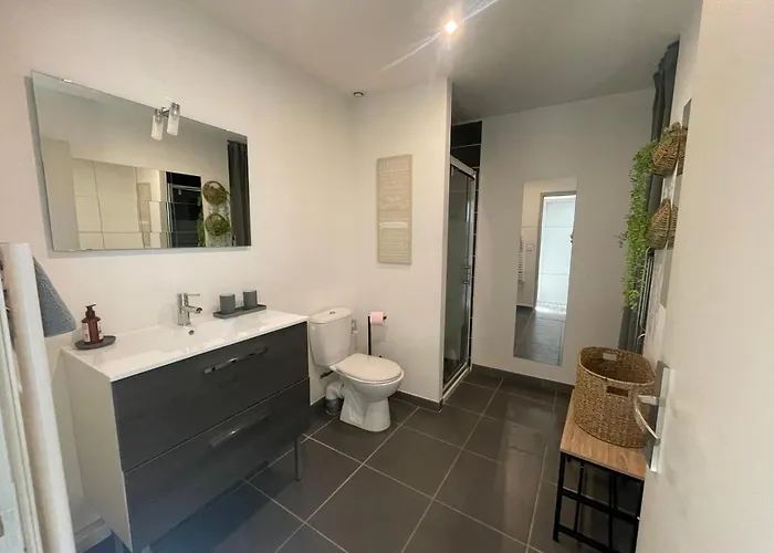 Apartment Le Petit Capo Calme Proche Centre Gare Valence (Drome)
