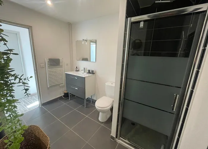 Apartment Le Petit Capo Calme Proche Centre Gare Valence (Drome)